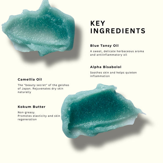 An informational ingredient graphic on a warm off-white background showing two teal-blue gel swatches with text labels: Blue Tansy Oil, Camellia Oil, and Kokum Butter under the heading KEY INGREDIENTS.