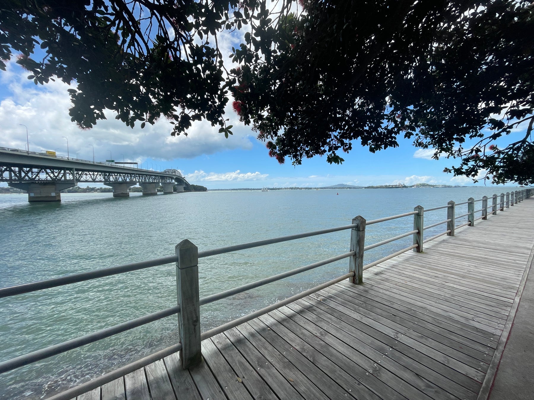 Auckland Harbour Bridge