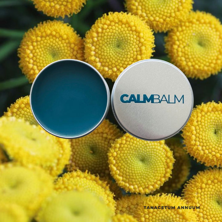 Calm Balm container surrounded by yellow flowers