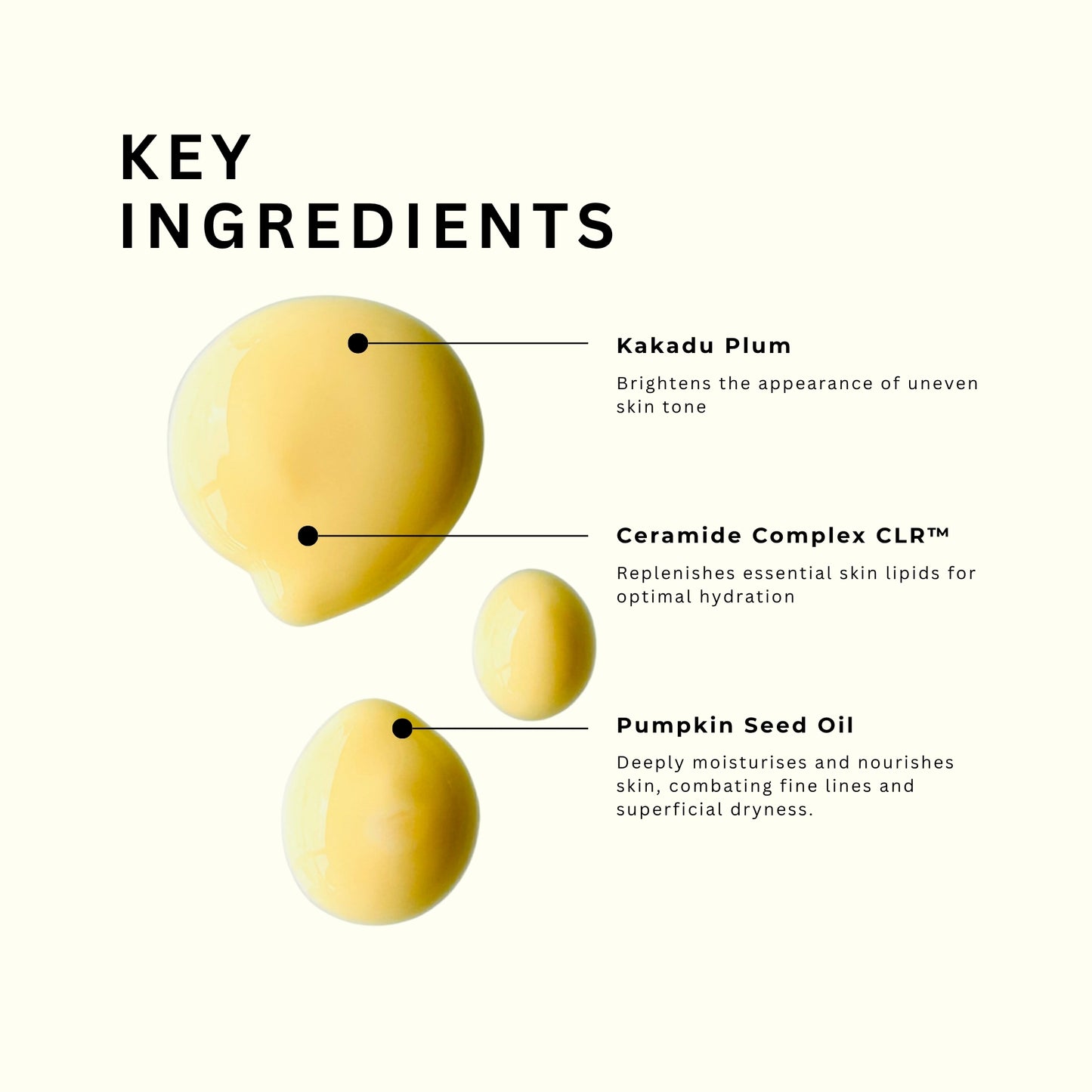 An informational graphic on a cream background with the heading 'KEY INGREDIENTS' and three yellow droplet-style ingredient callouts labeled Kakadu Plum, Ceramide Complex CLR, and Pumpkin Seed Oil with descriptive text.